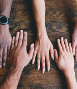 rozmanitost rozmanitost